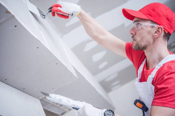 Best Water-Damaged Drywall Repair  in Ardmore, OK